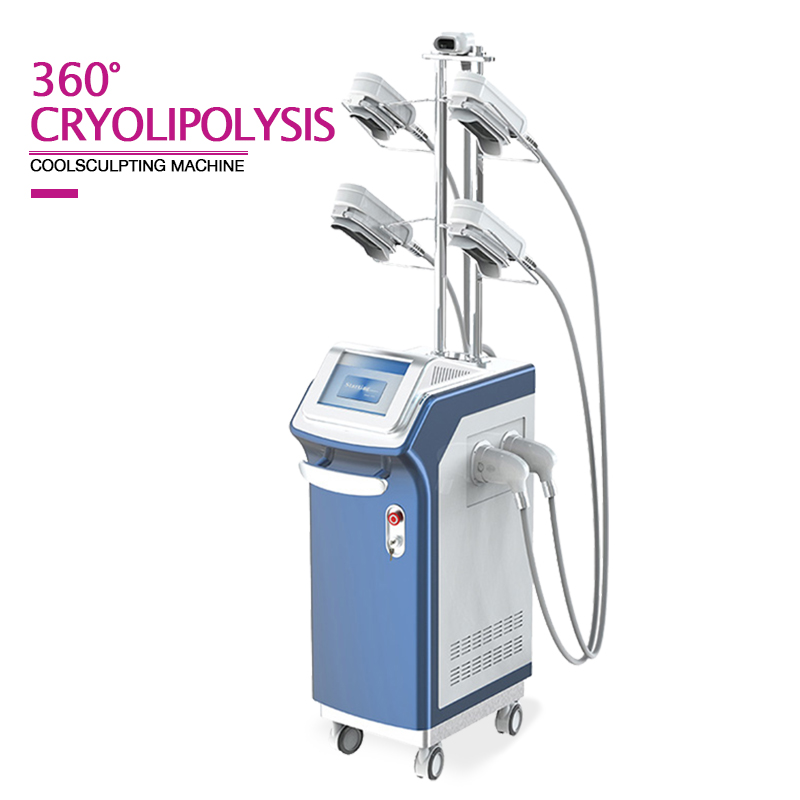 360 Cryolipolysis Weight Loss Machine Professional 5 Handles Cryo Lipolysis Fat Freeze Slimming Machine for Sale