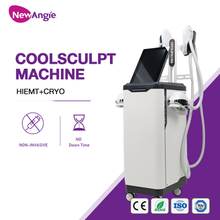 2 in 1 Ems+cryo Multifunctional Coolsculpting Machine for Muscle Building And Fat Reduction