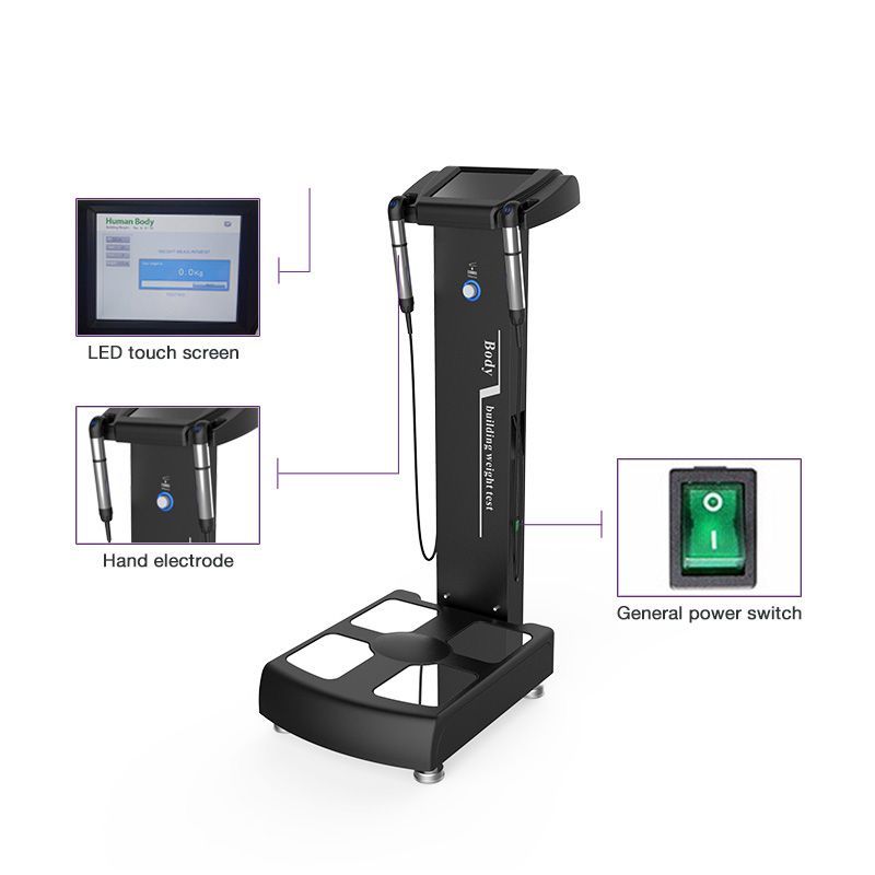 New Arrival Body Composition Analyzer with Printer for Sale