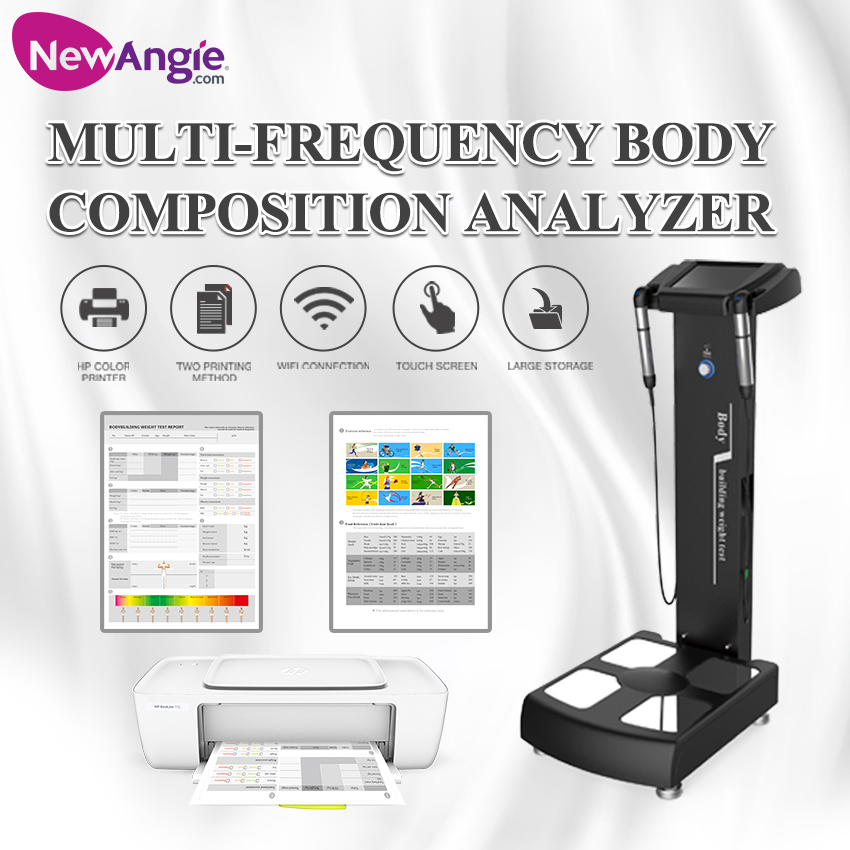 Best Professional Body Fat Analyzer for Gym Buy best professional