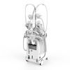 Cryolipolysis 3d Fat Freeze Machine for Weight Loss